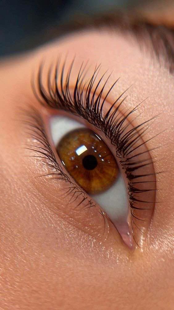 Lash Services